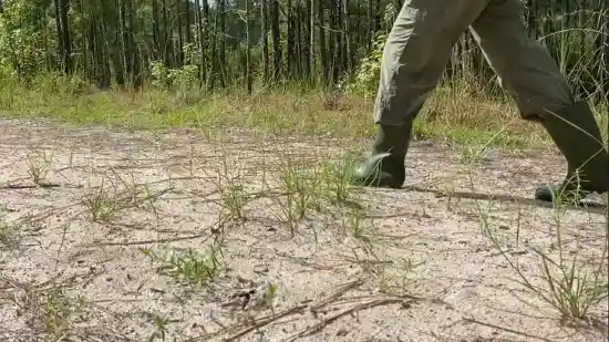 How Can You Avoid Snake Bites When Fishing with Waders
