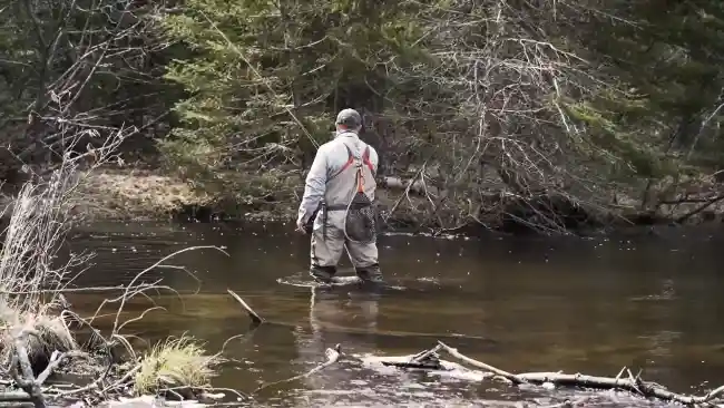 What are the Governing Regulations for Fly Fishing in Michigan