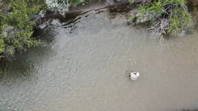 Here Are Montana’s 19 Best Fly Fishing Spots