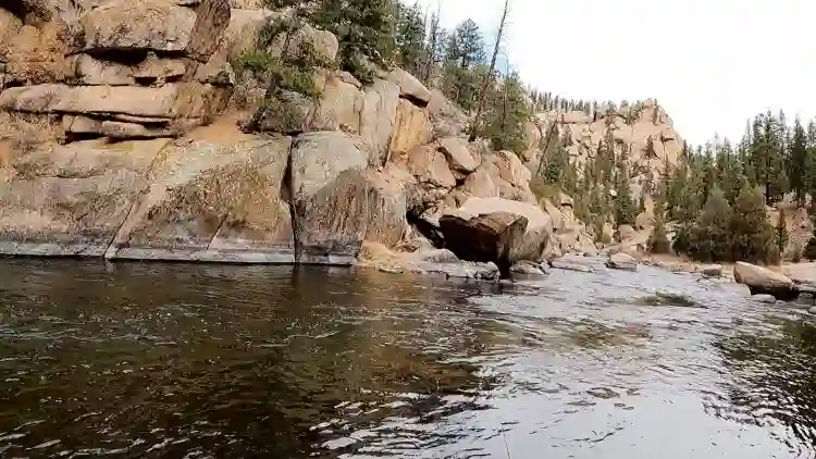 Fly Fish in Colorado