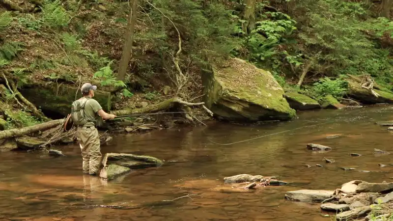 Fly fishing in Pennsylvania