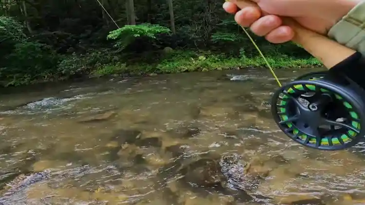 List of the Top Fly Fishing Locations in North Carolina