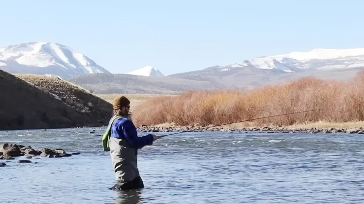 Fly Fish in Idaho