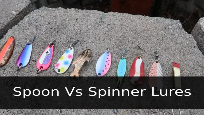 Spoon Vs Spinner Lures for Fly Fishing: 6 Differences