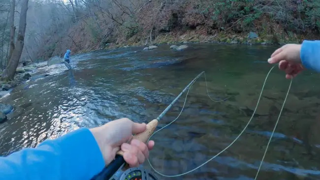 What are the regulations for fly fishing in North Carolina