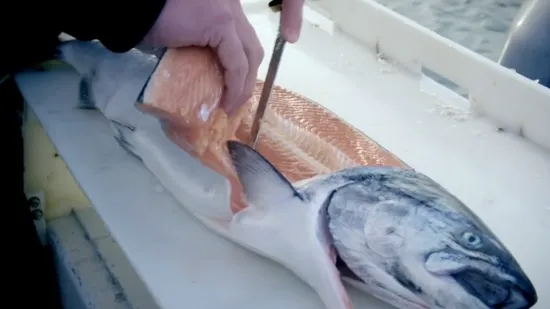 Why Should You Eat Fish Spawning Salmon