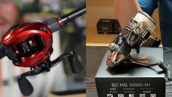 10 Key Differences Between Lews vs Daiwa Fishing Reels