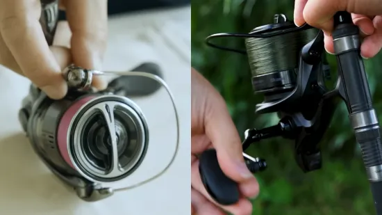 11 Key Differences Between Shimano and Okuma Fishing Reels