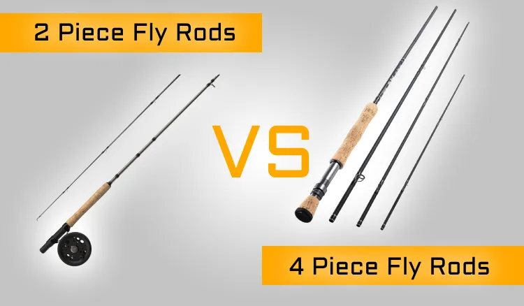 2 Piece vs 4 Piece Fly Rods: 6 Differences During Fishing