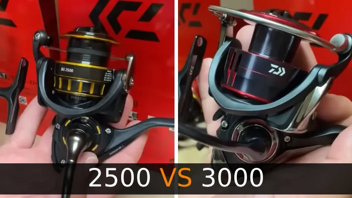 2500 vs 3000 Reel: 5 Differences to Consider for Fishing