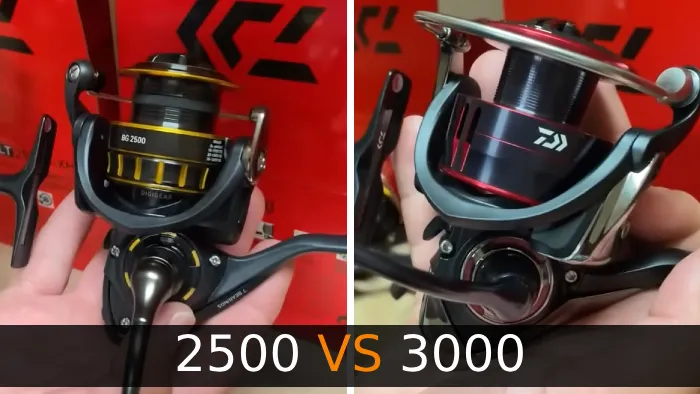 2500 vs 3000 reel
