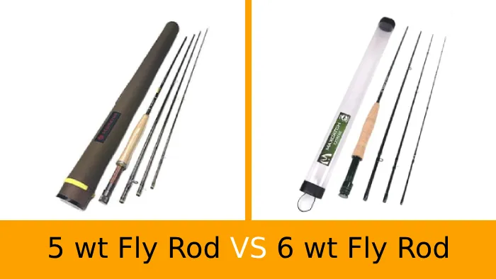 5 wt Vs 6 wt Fly Rod: 5 Notable Differences