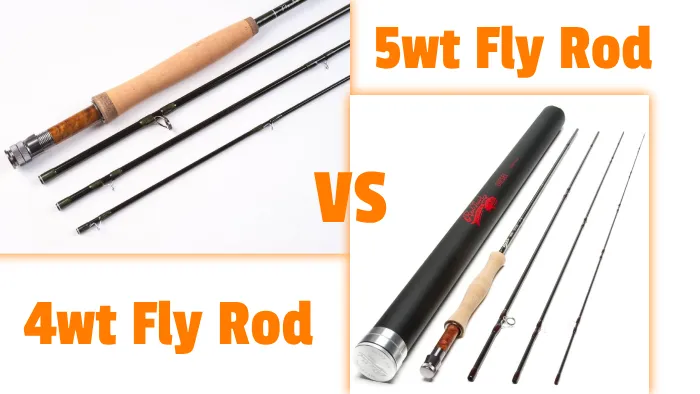 Differences Between 4wt Vs 5wt Fly Rod: 10 Fishing Impacts