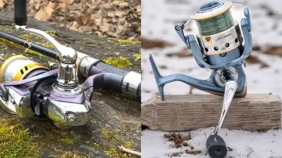 Differences Between Daiwa Regal LT and Pflueger President Fishing Reel
