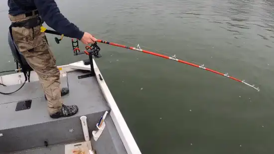 Differences Between Medium and Medium Heavy Rods for Fishing