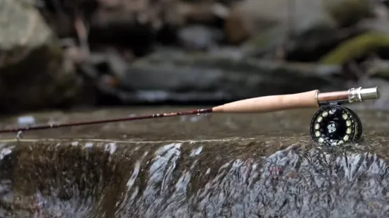 How To Choose the Best Fly Fishing Rod From Orvis and Sage