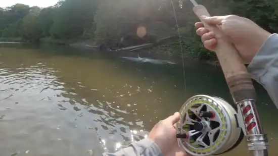 How far can a 4wt fly rod be cast