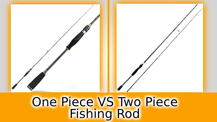 One Piece vs Two Piece Fishing Rod