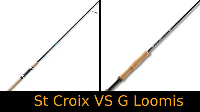 St Croix vs G Loomis Fishing Rod: 9 Differences