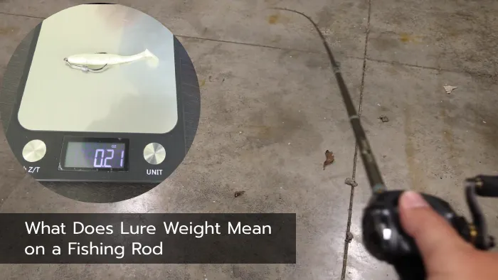 What Does Lure Weight Mean on a Fishing Rod