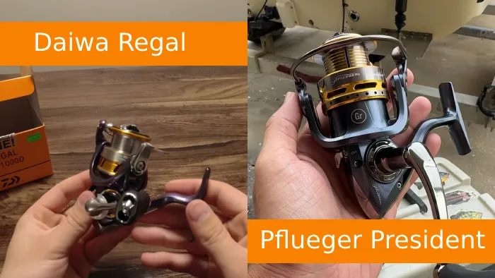 Daiwa Regal LT vs Pflueger President Fishing Reel: 10 Differences