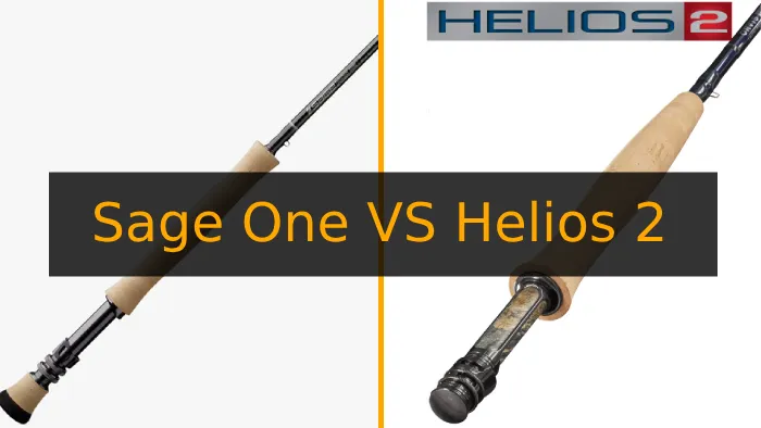 Sage ONE vs Helios 2 Fly Fishing Rods: 6 Differences You Must Know