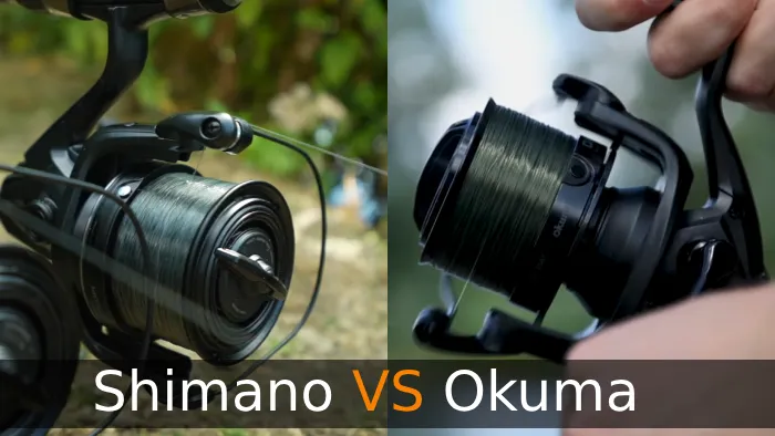 Shimano vs Okuma Fishing Reels: 11 Key Differences to Consider