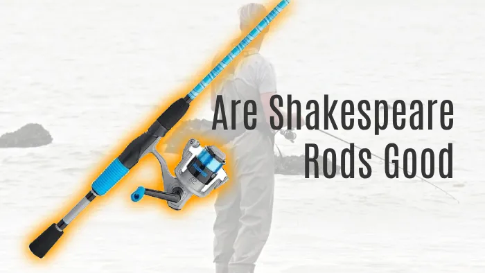 Are Shakespeare Rods Good: 11 Models for Fishing