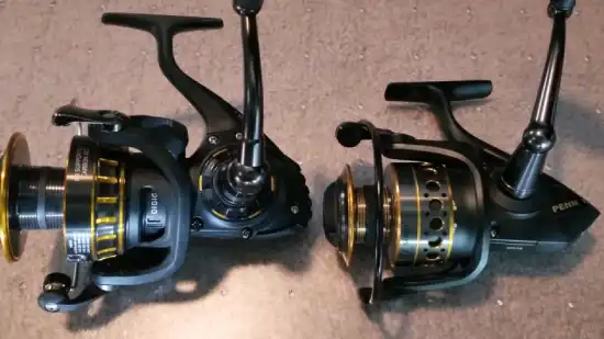 Differences Between Daiwa BG and Penn Battle 3 Fishing Reel