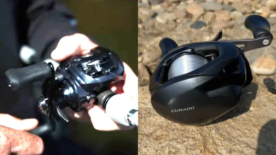 Differences Between Daiwa Tatula and Shimano Curado Fishing Reels