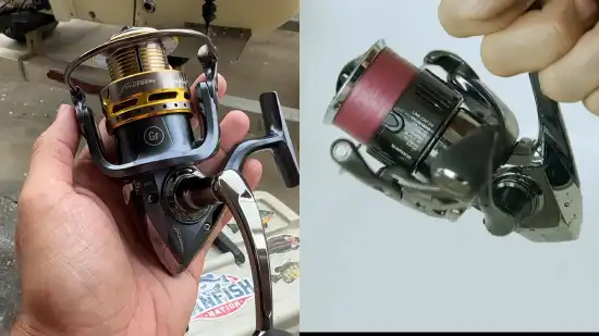 Differences Between Pflueger vs Shimano Fishing Reels