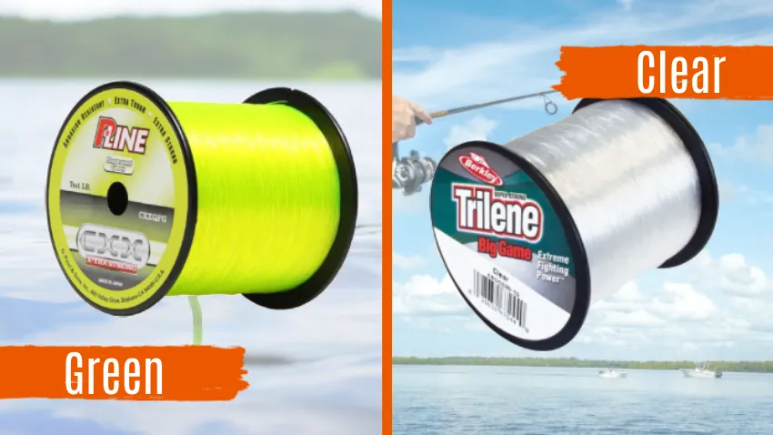 Green Fishing Line vs Clear