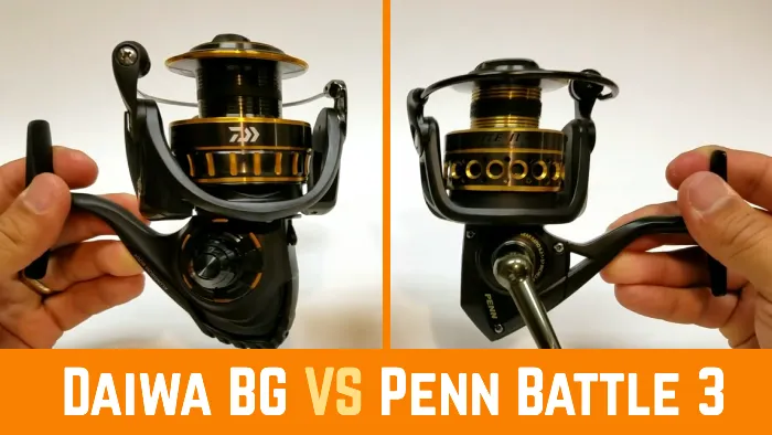 Daiwa BG vs Penn Battle 3 Fishing Reel: 10 Notable Differences