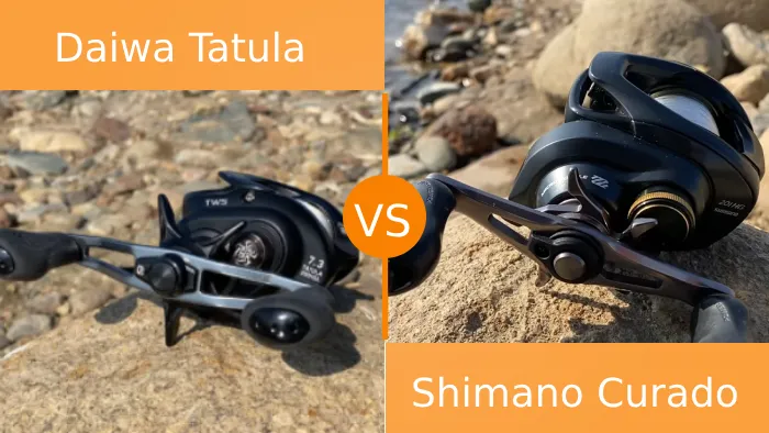Daiwa Tatula vs Shimano Curado Fishing Reels: 8 Differences