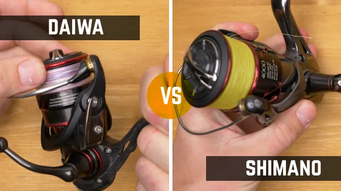 Daiwa vs Shimano Fishing Reel: 10 Key Differences