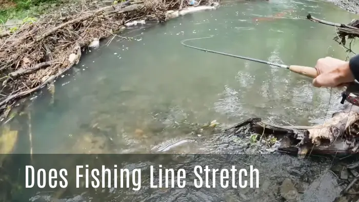 does fishing line stretch