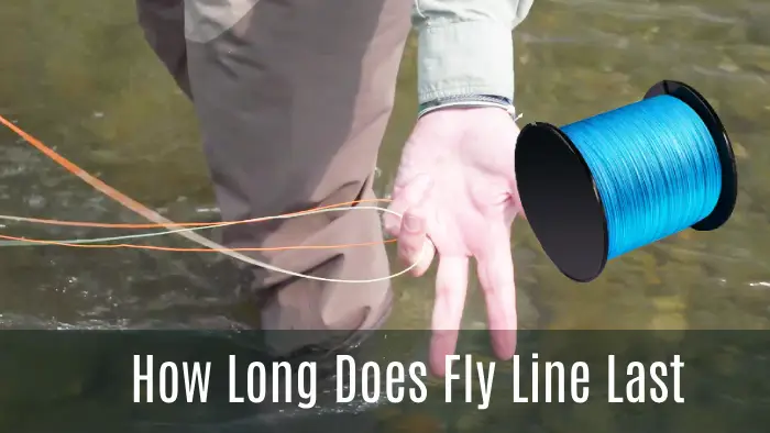 How Long Does Fly Line Last: 6 Determining Factors
