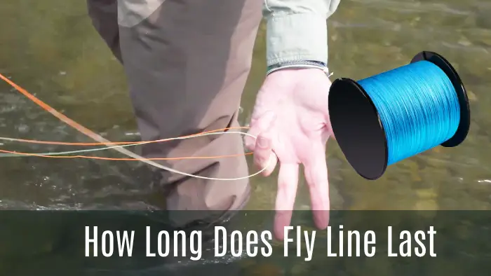 how long does fly line last