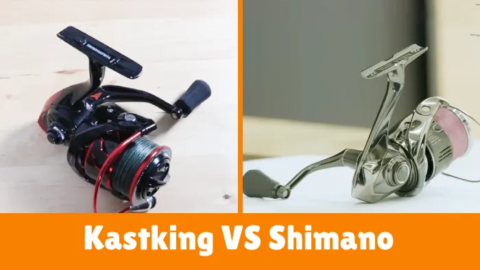KastKing vs Shimano Fishing Reel: 9 Differences