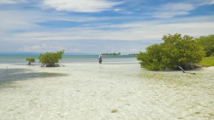 9 Popular Fly Fishing Spots in Hawaii