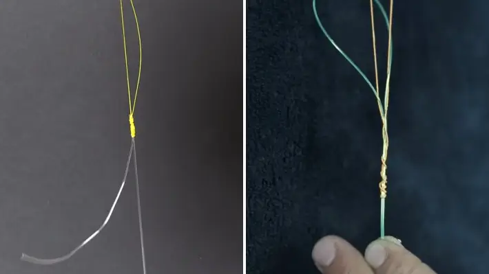 Differences Between Alberto and Albright Fishing Knot
