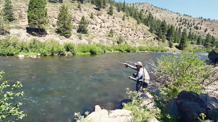 Fly fishing in Nevada