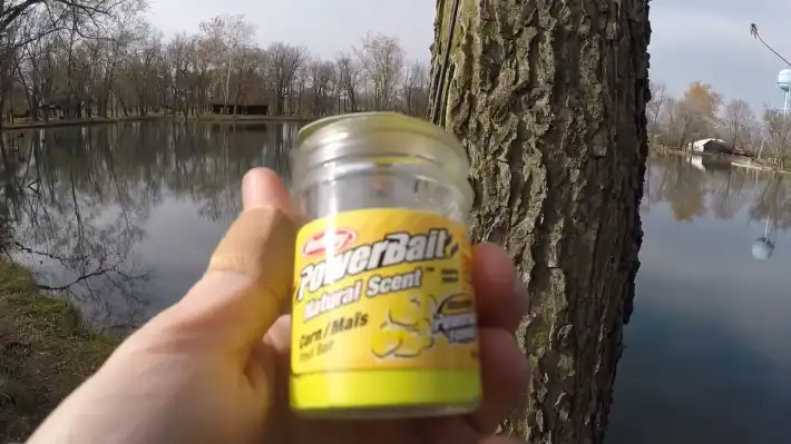 For What Reasons Does Powerbait Go Bad: In Detail