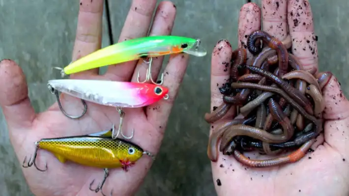 Is bait fishing easier than lure fishing
