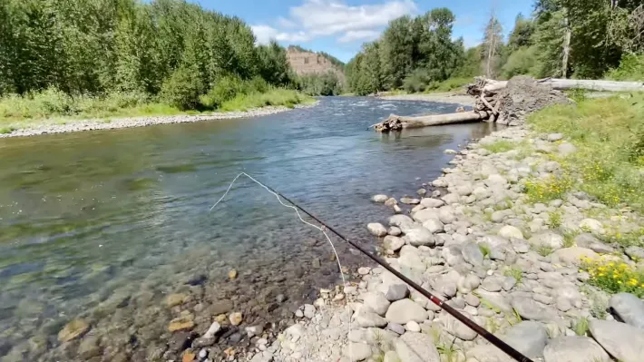 List of the Best Places to Fly Fishing in Maryland