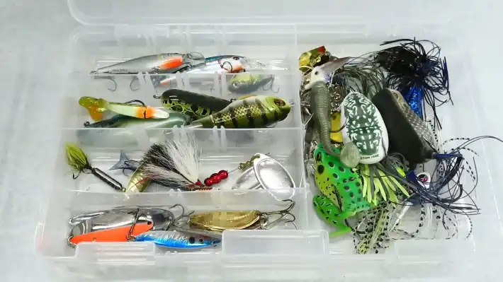 Types of Lures for Fishing