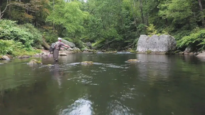 What Fish Species Are Available for Fly Fishing in Maryland