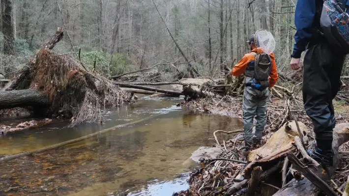What are the best seasons for fly fishing in Georgia