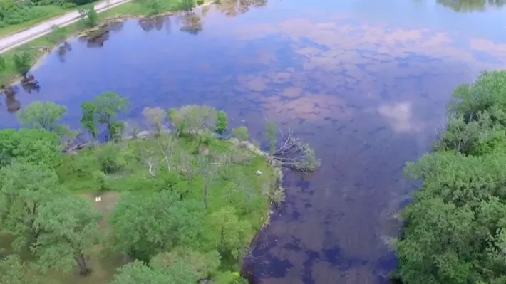 When is the best time to fly fish in Illinois