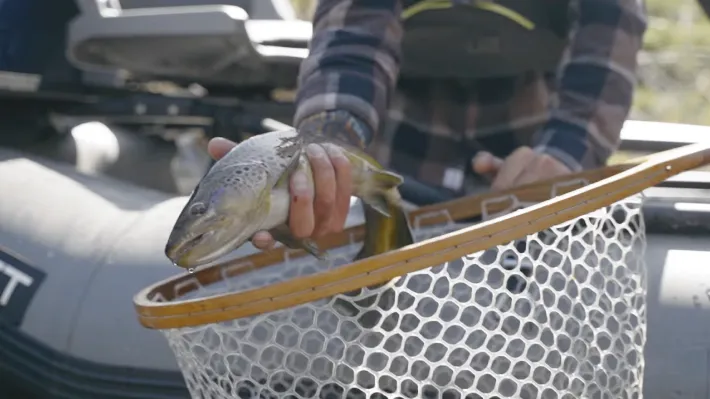 When is the ideal time for fly fishing in Utah